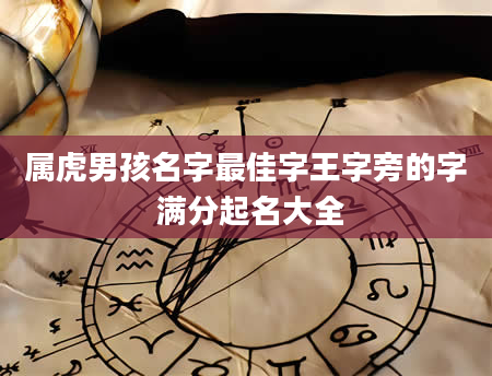 属虎男孩名字最佳字王字旁的字 满分起名大全