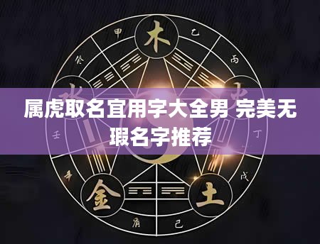 属虎取名宜用字大全男 完美无瑕名字推荐