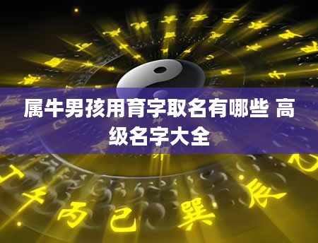 属牛男孩用育字取名有哪些 高级名字大全