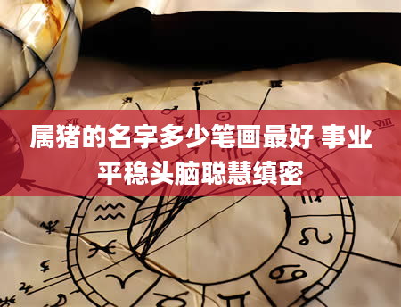属猪的名字多少笔画最好 事业平稳头脑聪慧缜密