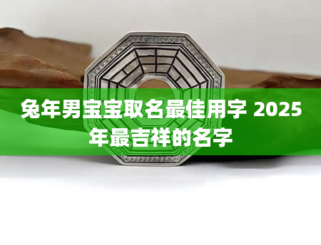 兔年男宝宝取名最佳用字 2025年最吉祥的名字
