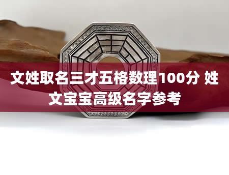 文姓取名三才五格数理100分 姓文宝宝高级名字参考
