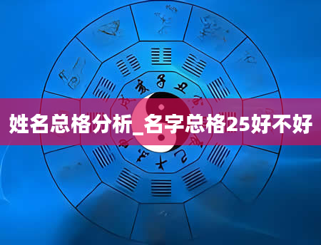 姓名总格分析_名字总格25好不好