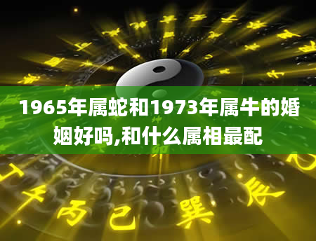 1965年属蛇和1973年属牛的婚姻好吗,和什么属相最配