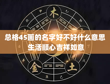 总格45画的名字好不好什么意思 生活顺心吉祥如意