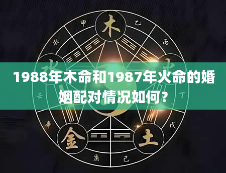 1988年木命和1987年火命的婚姻配对情况如何？
