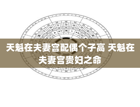 天魁在夫妻宫配偶个子高 天魁在夫妻宫贵妇之命