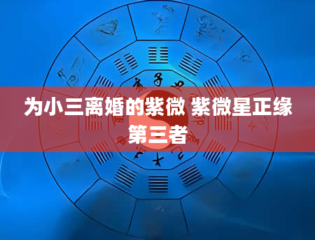 为小三离婚的紫微 紫微星正缘第三者