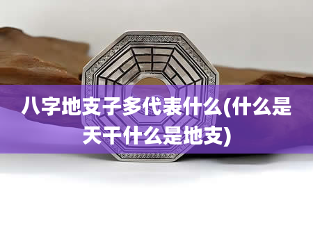 八字地支子多代表什么(什么是天干什么是地支)