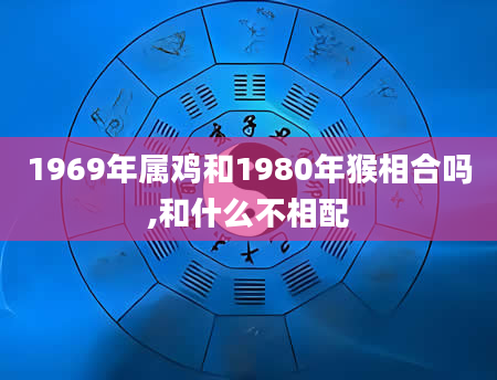 1969年属鸡和1980年猴相合吗,和什么不相配