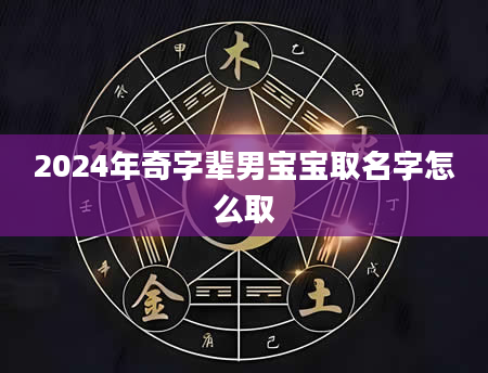 2024年奇字辈男宝宝取名字怎么取