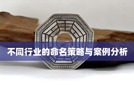 不同行业的命名策略与案例分析