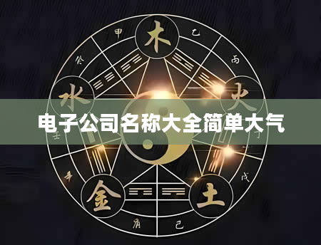 电子公司名称大全简单大气