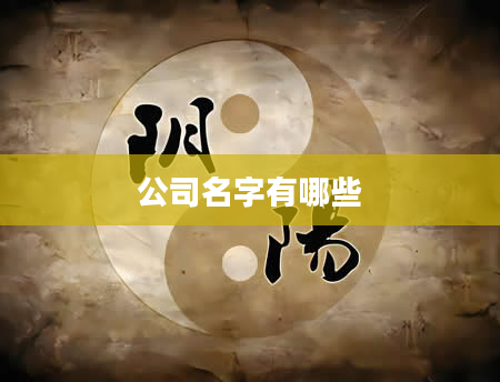 公司名字有哪些