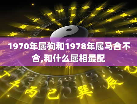 1970年属狗和1978年属马合不合,和什么属相最配