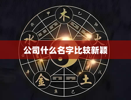 公司什么名字比较新颖