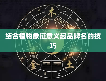 结合植物象征意义起品牌名的技巧