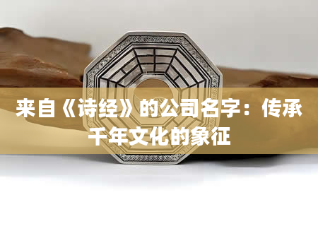 来自《诗经》的公司名字：传承千年文化的象征