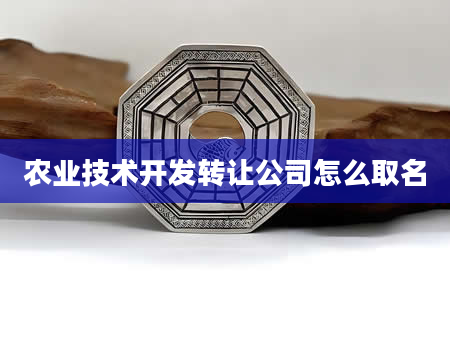 农业技术开发转让公司怎么取名