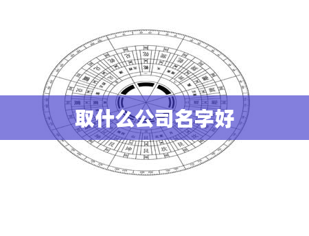 取什么公司名字好