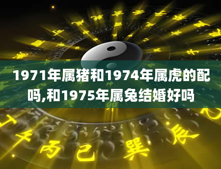 1971年属猪和1974年属虎的配吗,和1975年属兔结婚好吗