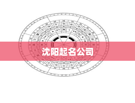 沈阳起名公司