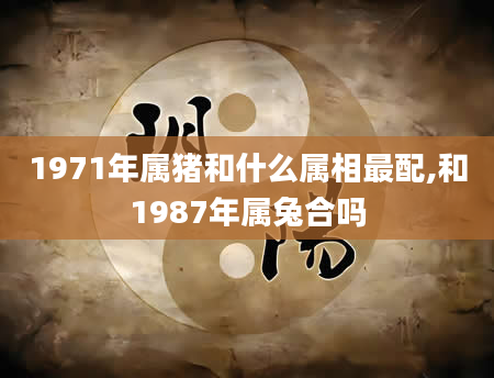 1971年属猪和什么属相最配,和1987年属兔合吗