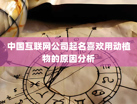 中国互联网公司起名喜欢用动植物的原因分析