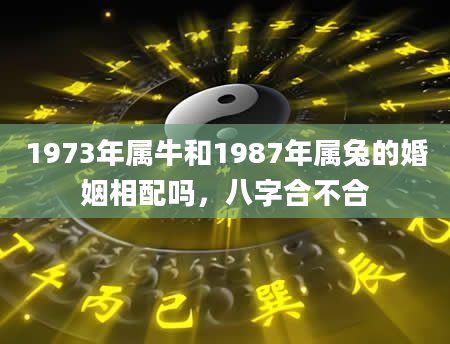 1973年属牛和1987年属兔的婚姻相配吗，八字合不合