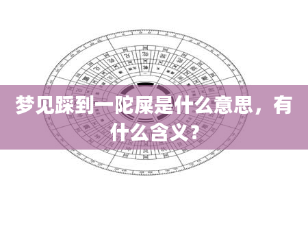 梦见踩到一陀屎是什么意思，有什么含义？