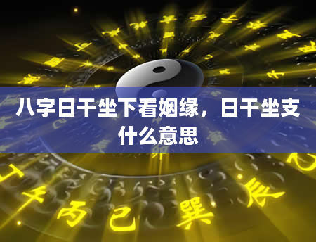 八字日干坐下看姻缘，日干坐支什么意思