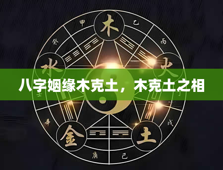 八字姻缘木克土，木克土之相