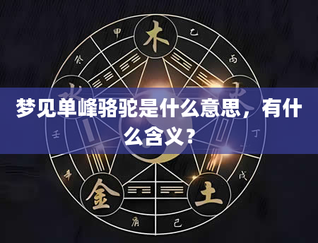 梦见单峰骆驼是什么意思，有什么含义？