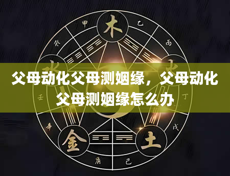 父母动化父母测姻缘，父母动化父母测姻缘怎么办