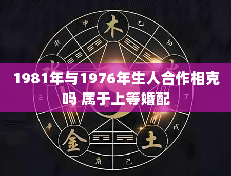 1981年与1976年生人合作相克吗 属于上等婚配