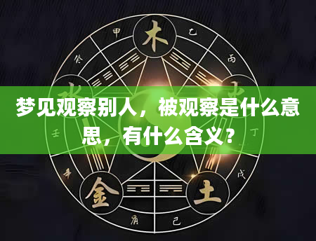 梦见观察别人，被观察是什么意思，有什么含义？