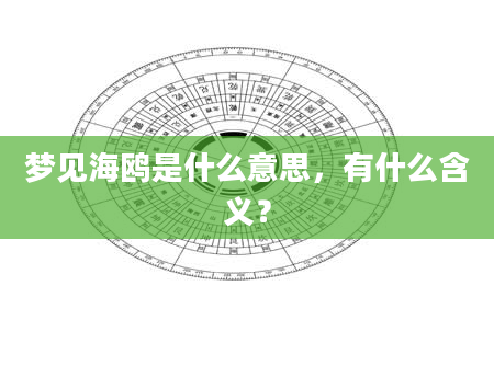 梦见海鸥是什么意思，有什么含义？