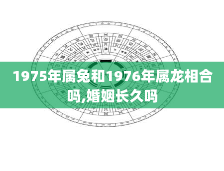 1975年属兔和1976年属龙相合吗,婚姻长久吗