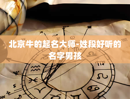 北京牛的起名大师-姓段好听的名字男孩