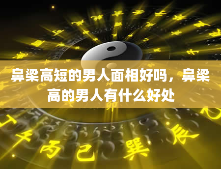 鼻梁高短的男人面相好吗，鼻梁高的男人有什么好处