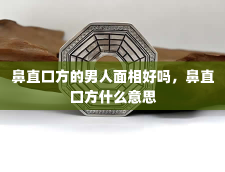 鼻直口方的男人面相好吗，鼻直口方什么意思