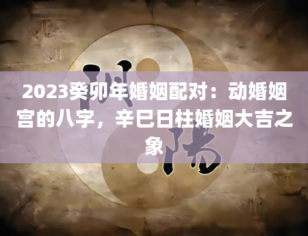 2023癸卯年婚姻配对：动婚姻宫的八字，辛巳日柱婚姻大吉之象