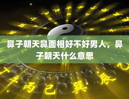 鼻子朝天鼻面相好不好男人，鼻子朝天什么意思