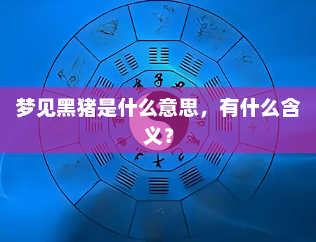 梦见黑猪是什么意思，有什么含义？