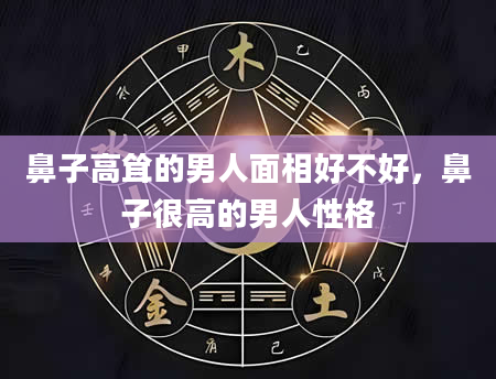鼻子高耸的男人面相好不好，鼻子很高的男人性格