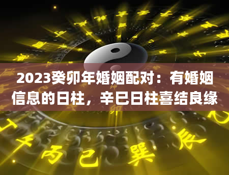 2023癸卯年婚姻配对：有婚姻信息的日柱，辛巳日柱喜结良缘