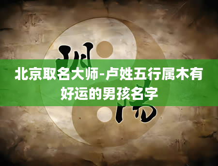 北京取名大师-卢姓五行属木有好运的男孩名字