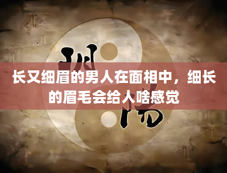 长又细眉的男人在面相中，细长的眉毛会给人啥感觉