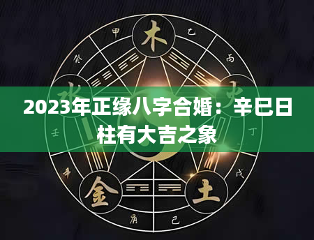 2023年正缘八字合婚：辛巳日柱有大吉之象
