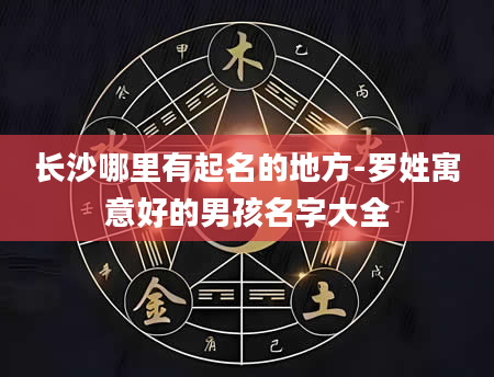 长沙哪里有起名的地方-罗姓寓意好的男孩名字大全